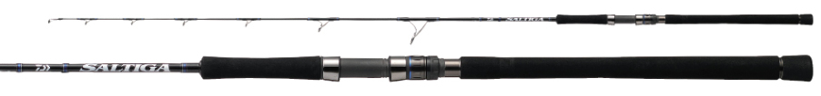 Daiwa  SALTIGA J60HSEJ